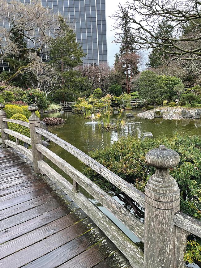 A Japanese garden hidden in  downtown San Mateo