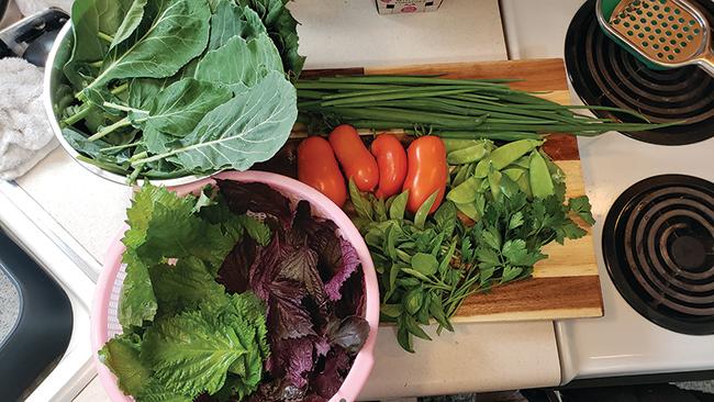 ‘Tis the season: It’s time to go back to the garden